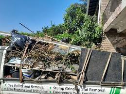 Baldwin, MI Junk Removal Services Pros